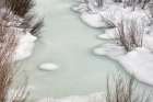 USA, Wyoming, Grand Teton National Park, Jackson. Ice and willows on Pacific Creek Art Print